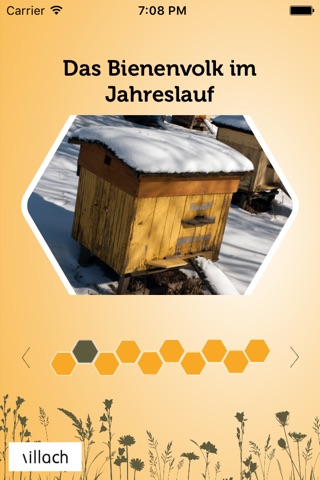 Villach Bienen App screenshot 2