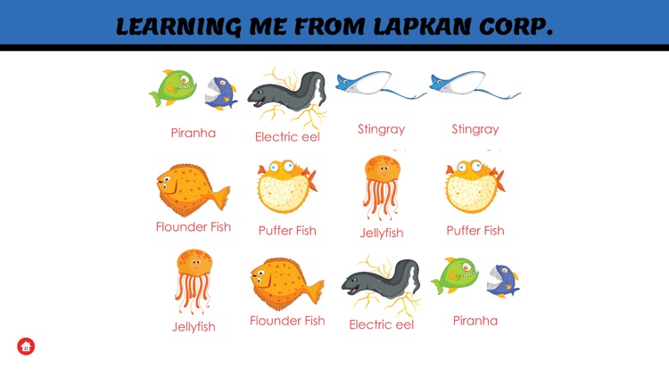 Learning Me: Sea Fishes