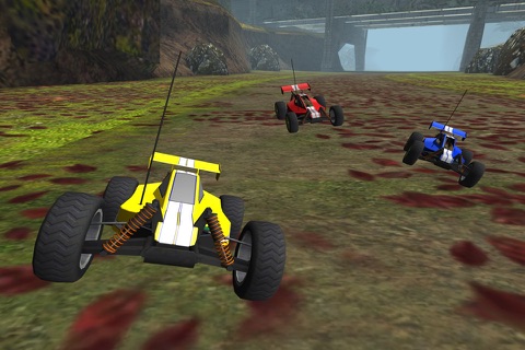 R/C Car Off-Road Racing- Radio Controlled Nitro Buggy Simulator Game PRO screenshot 4