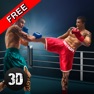 Get Thai Box Fighting Challenge 3D for iOS, iPhone, iPad Aso Report