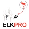 Elk Hunting Strategy for Big Game Hunting