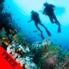 Diving Photos & Videos FREE |  Amazing 326 Videos and 49 Photos  |  Watch and Learn