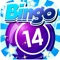 Bingo Hangover - Multiple Daub Bonanza And Vegas Odds