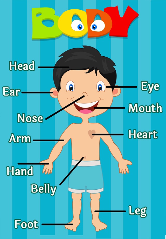 Learning Human Body Parts - Baby Learning Body Parts screenshot 4