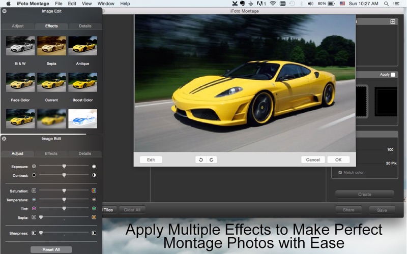 iFoto Montage - Easy Mosaic Photo Maker thumbnail 4