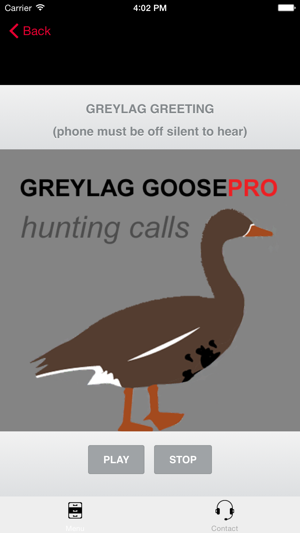 REAL Greylag Goose Hunting Calls + Greyl