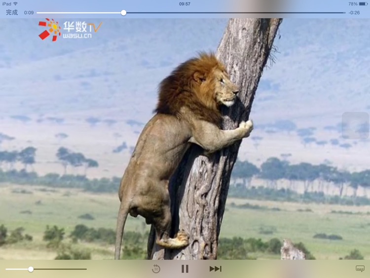 华数TV HD视频