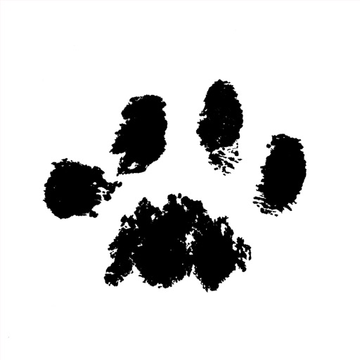Paw Paper icon