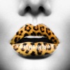 Pic Morph Wild Mix - Transform yr Skin or Face with Extraordinary Pattern and Animal Texture.s - iPhoneアプリ