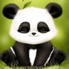 Panda Wallpapers HD: Quotes Backgrounds with Art Pictures