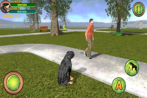 Rottweiler Dog Life Simulator screenshot 2