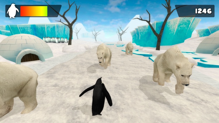 Funny Penguin Racing Challenge | Free Game For Kids screenshot-4