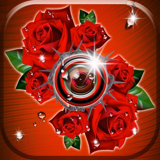 Roses Photo Editor Romantic Rose Photo Frames & Flower.s Stickers by