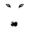 L'appel du loup