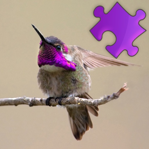 Hummingbirds Best Puzzles icon