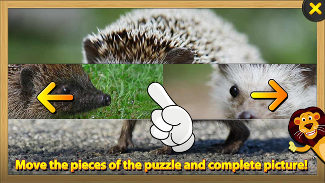 ABC SAFARI Animals & Plants - Video, Picture, Word, Puzzle G(圖4)-速報App