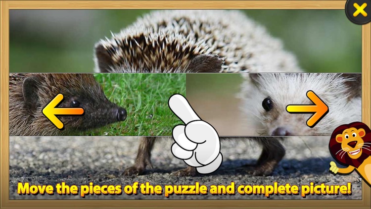 ABC SAFARI Animals & Plants - Video, Picture, Word, Puzzle Game screenshot-3