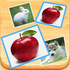 Activities of Find Double - Matching pair game with cute photos