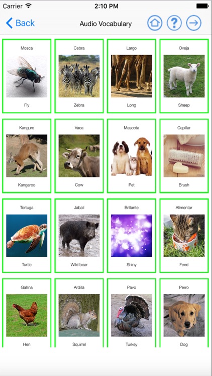 English Primero de Primaria Trimestre 3 Level Starters 3 for iPhone