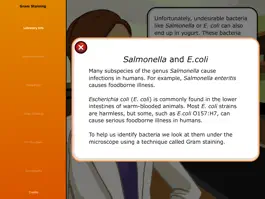 Game screenshot Virtual Labs: Gram Staining apk