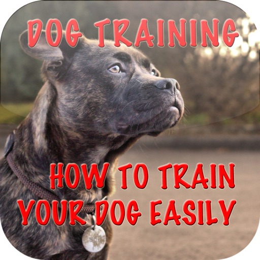 Dog Training - How To Train Your Dog Easily+ icon