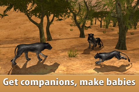 Black Wild Panther Simulator 3D - Be a wild cat in animal simulator! screenshot 2