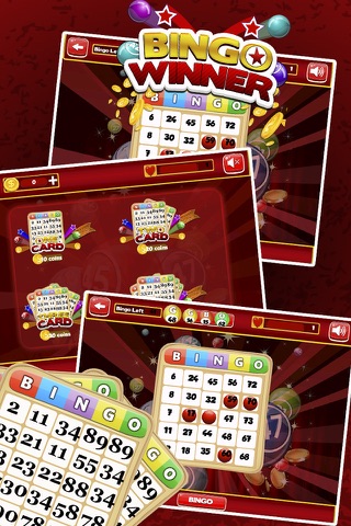 Bingo Club Feast Pro screenshot 3