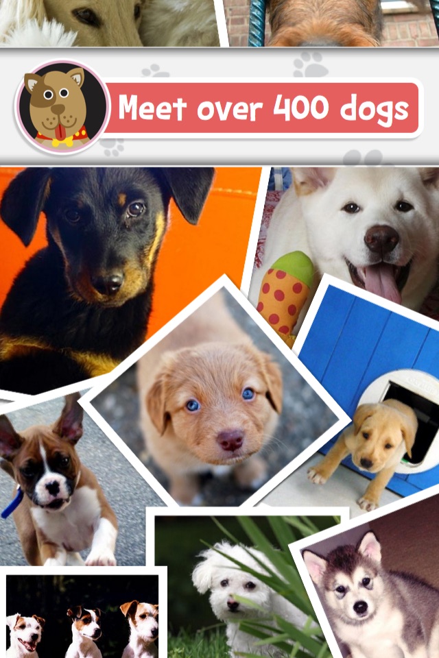 Breeds: The Dog Name Game - the Favorite ‘Guess the Word’ game of Dog Lovers screenshot 4
