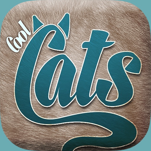 Cool Cats Videos