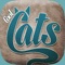 On Cool Cats you find the best & most popular cat videos from all over the world