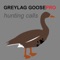 REAL Greylag Goose Hunting Calls & Greylag Goose CALLS + Greylag Goose Sounds!