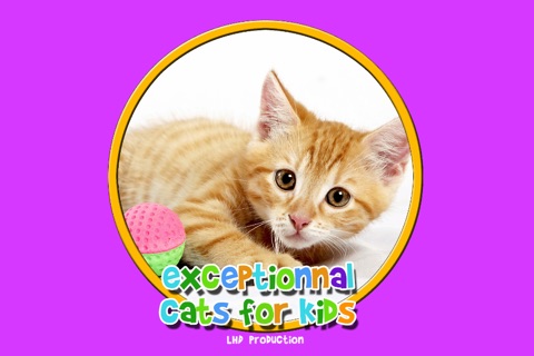 exceptionnal cats for kids - free screenshot 4