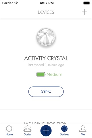 Swarovski Activity Crystal screenshot 3