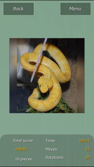 Snakes Amazing Puzzle(圖2)-速報App