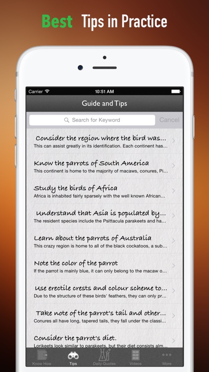 How to Identify a Bird:Tips and Tutorial screenshot-3
