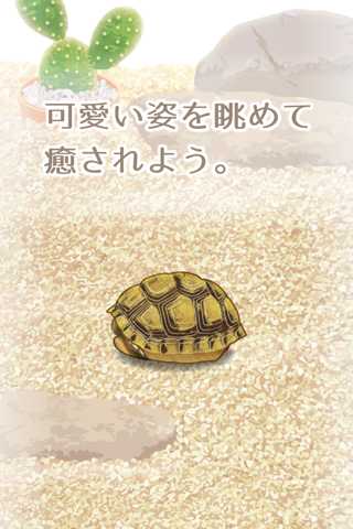 Tortoise Pet screenshot 3