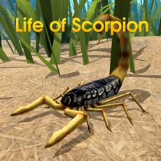 Activities of Life Of Scorpion