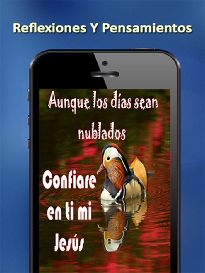 Reflexiones Y Pensamientos