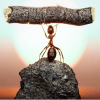 불가능 사진 무료