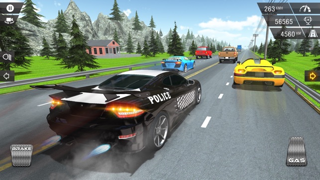 Racing In Police Car