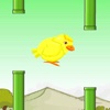 fly bird hd