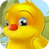 Duck Treasure Hunter of Classic Tap Game