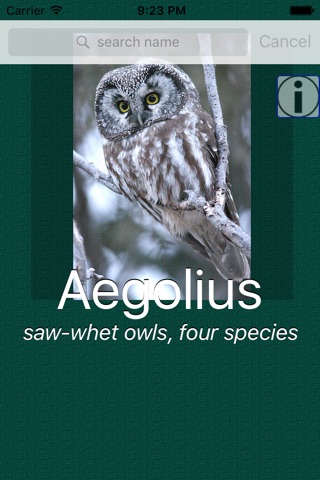 Owl Dictionary Pro screenshot 4