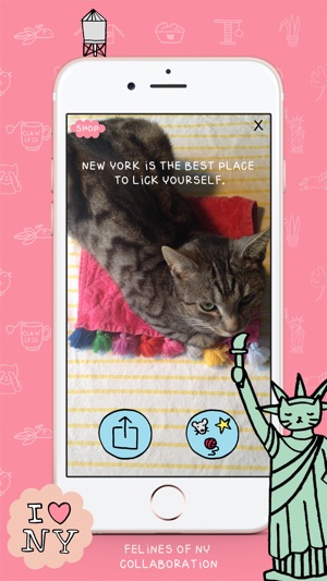 TeleKitty(圖3)-速報App