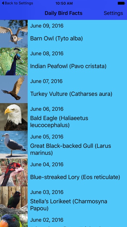 Daily Bird Facts