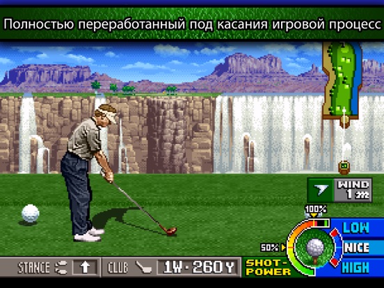 NEO TURF MASTERS на iPad