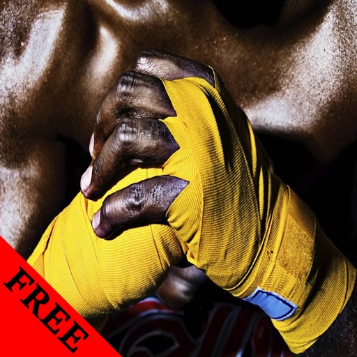 Kickbox Photos and Video Galleries FREE icon