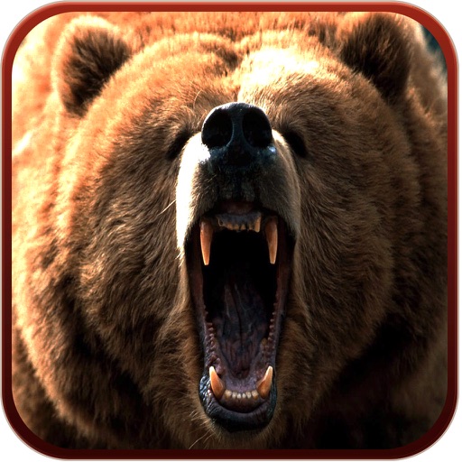 2016 Deadly Bear Hunter Challenge Pro : Polar Bear Pro Hunting Adventure icon