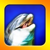 Flipper Dolphin (Your own playful dolphin!)