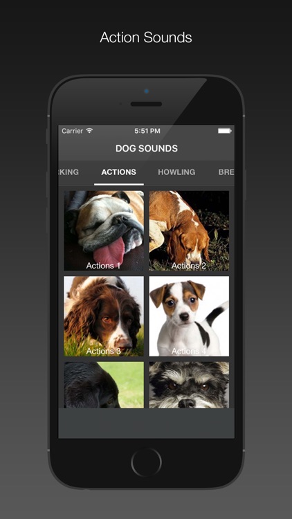 Dog Sounds - Free